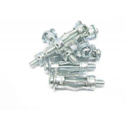 Molly M6 x 34mm Wall Fixings with Screws